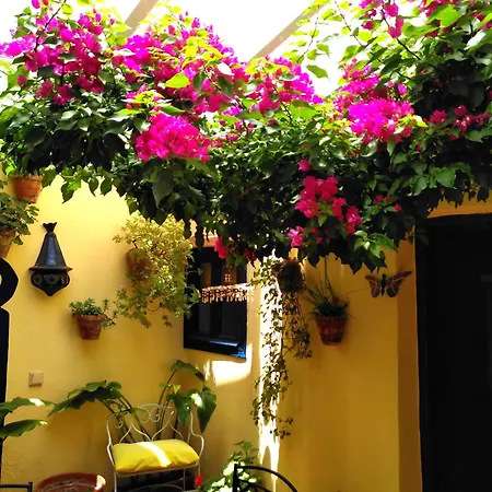 Baraka Boutique Pensión