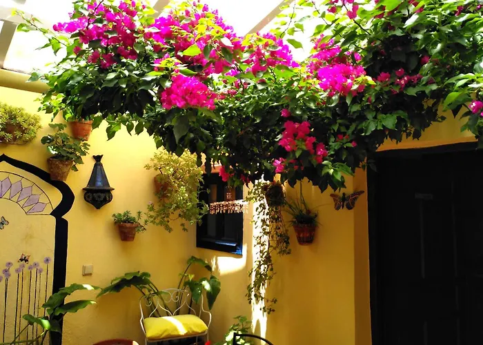 Baraka Boutique Maison d'hôtes